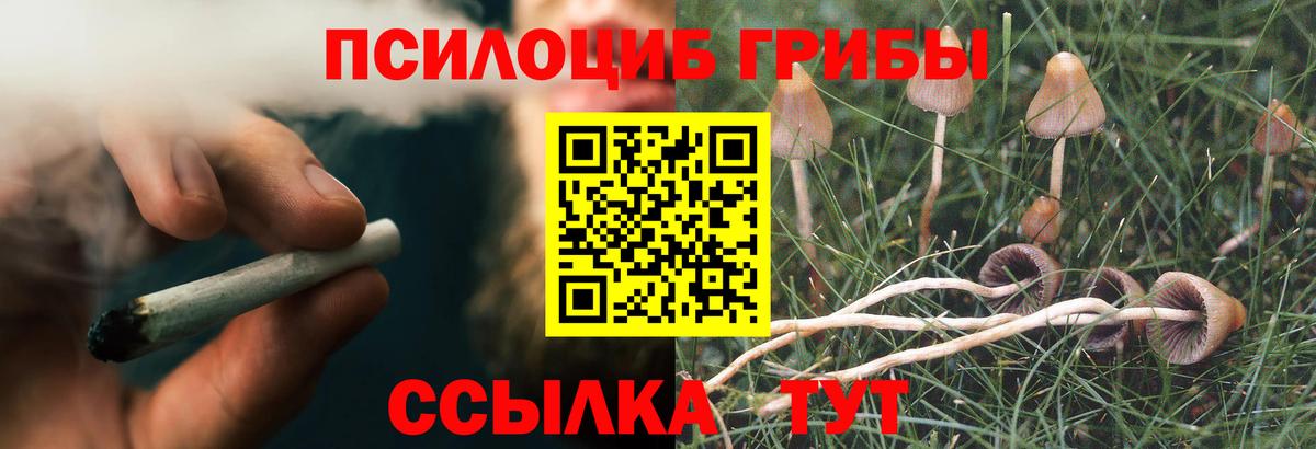 Галлюциногенные грибы MAGIC MUSHROOMS Гурьевск