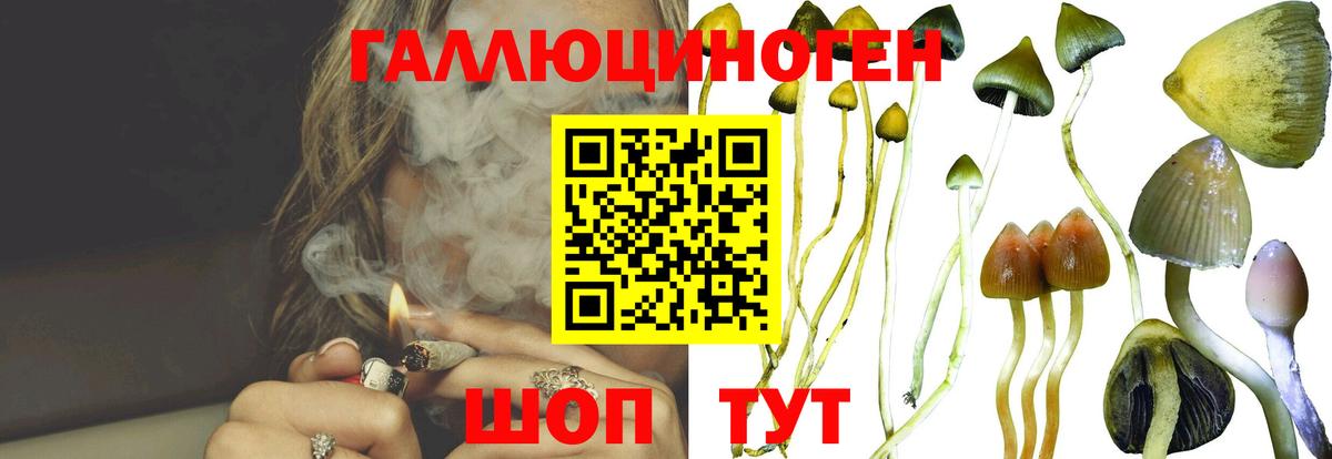 Гурьевск  Галлюциногенные грибы ЛСД  Вход с VPN  Псилоцибиновые грибы прущие грибы 